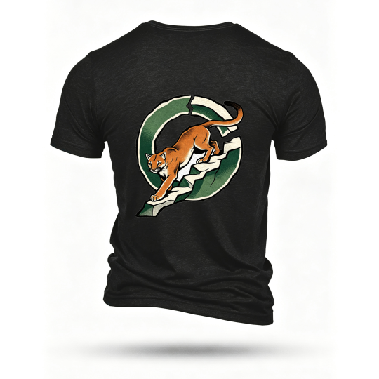 Black T-shirt, back print