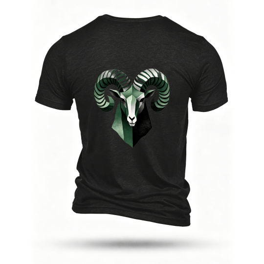 Black T-shirt, back print