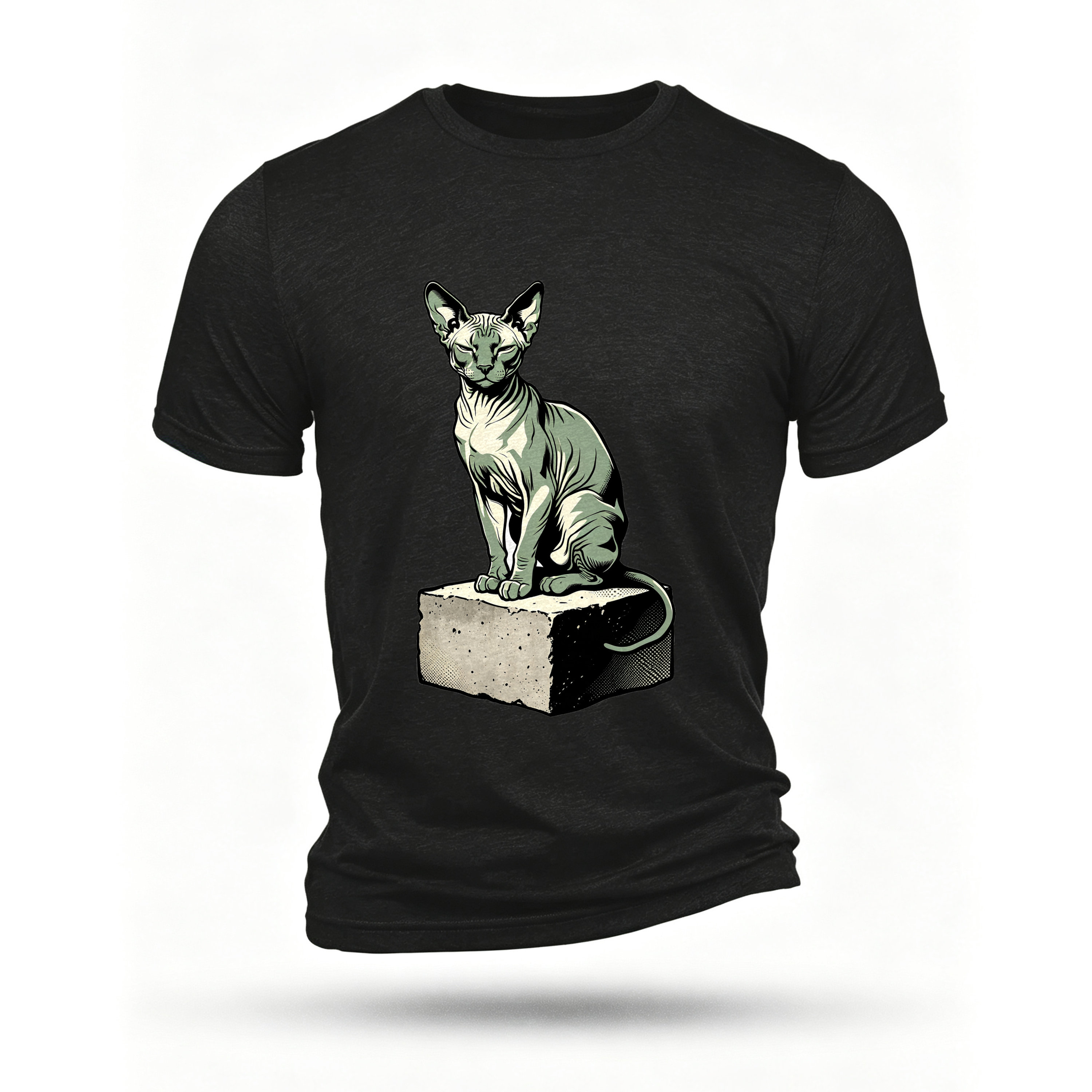 Black T-shirt, front print