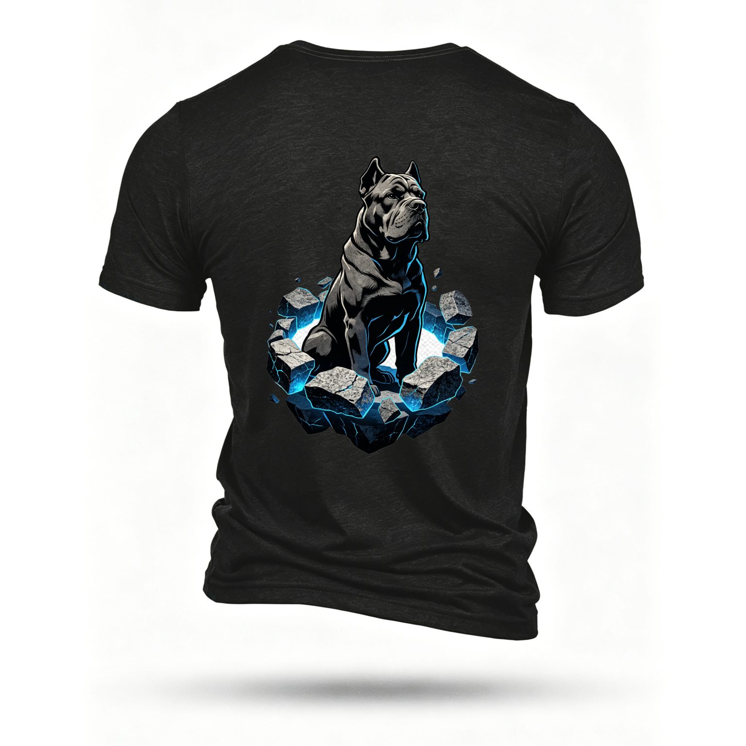 Black T-shirt, back print